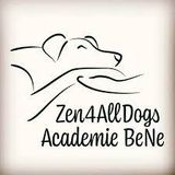 Zenn4Alldogs Academie